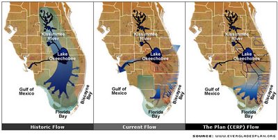 Water flow through the Everglades Hydro System: past, present future