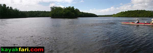 Shark River Slough Everglades expedition camping River of Grass kayakfari Flex Maslan marshall foundation kayak canoe sawgrass shark river harney river