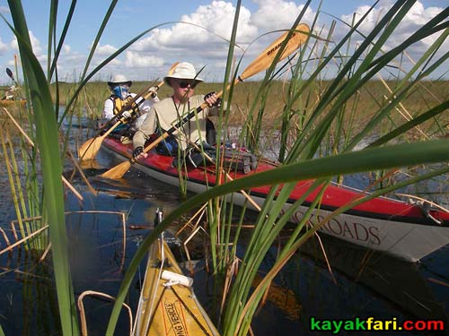 Shark River Slough Everglades expedition camping River of Grass kayakfari Flex Maslan marshall foundation kayak canoe sawgrass