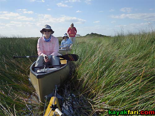 East Everglades Grass kayakfari canoe paddle Expansion Area airboat camp addition lands kayak Flex Maslan