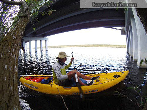 flex maslan kayakfari everglades kayak canoe humor tamiami skyway bridge paddle canal shark slough photography