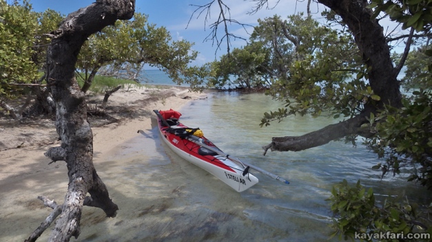 Flex Maslan kayakfari Florida Bay Kayak Everglades Camp flats low tide canoe chickee grass Carl Ross Keys